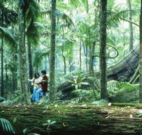 Illinbah circuit - Queensland Tourism