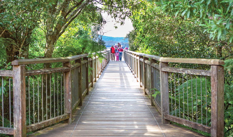 Dorrigo Mountain NSW QLD Tourism