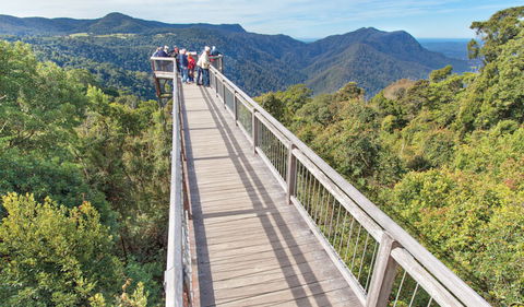Skywalk Lookout - QLD Tourism 1