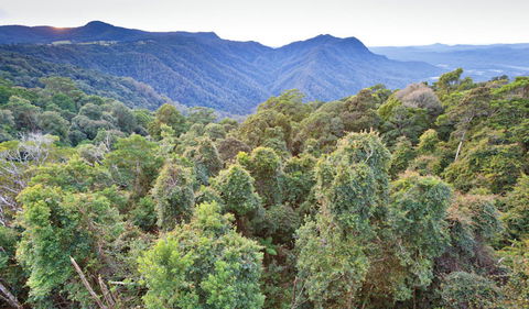 Skywalk Lookout - QLD Tourism 2