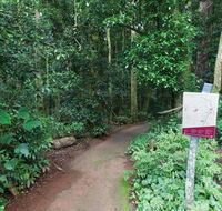 Walk with the Birds boardwalk - QLD Tourism