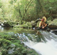 Dave's Creek circuit - Queensland Tourism