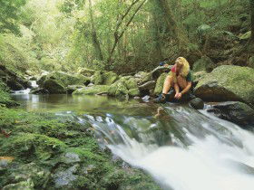 Dave's Creek Circuit - QLD Tourism 0