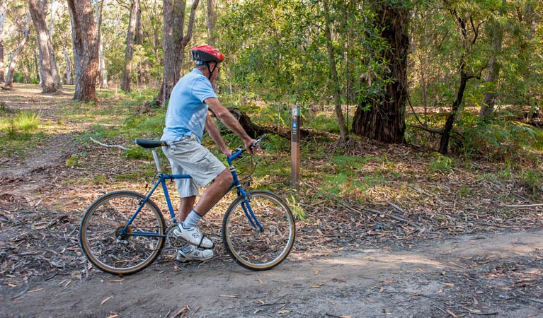 Bendalong NSW Queensland Tourism