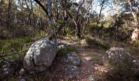 Wadbilliga National Park - Queensland Tourism 2