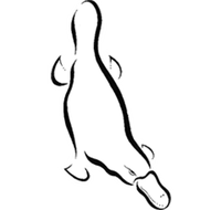 Platypus Gallery - QLD Tourism