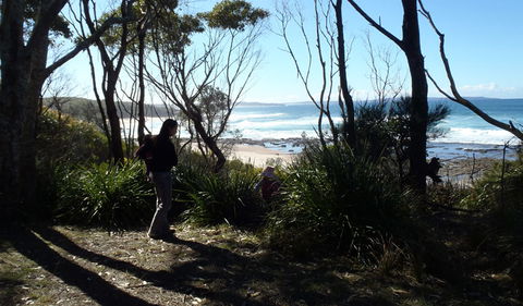 Monument Beach Picnic Area - QLD Tourism 2