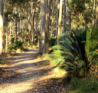 Square Head track 2 - QLD Tourism