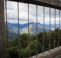 Dorrigo Rainforest Centre - Queensland Tourism