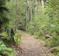 Lake walking track - QLD Tourism