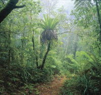 Wagawn - Queensland Tourism