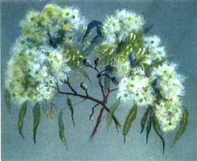Norma Holt Studio Gallery - Queensland Tourism 1