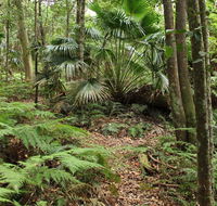 Durras Lake Discovery trail - QLD Tourism