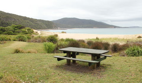 Depot Beach Picnic Area - QLD Tourism 0