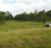 Numinbah Valley Adventure Trails - Queensland Tourism