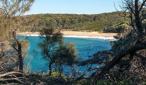 Myrtle Beach Walking Track - QLD Tourism 2