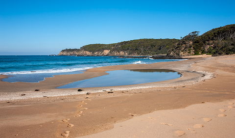 Myrtle Beach Walking Track - QLD Tourism 3