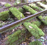 Wootton Historical Railway Walk - QLD Tourism
