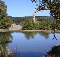 Oak Grove Walk Balingup - QLD Tourism