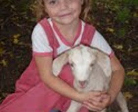 Honeycomb Valley Farm - QLD Tourism 7