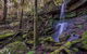 Coorabakh National Park - thumb 0