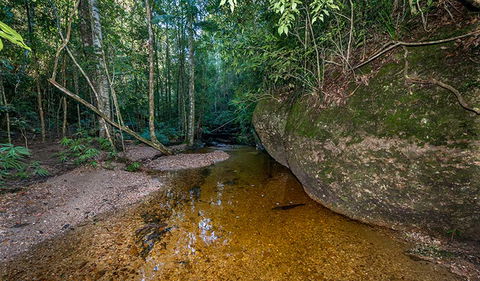 Coorabakh National Park - QLD Tourism 2