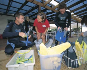Dolphin Discovery Centre - QLD Tourism 1