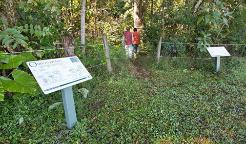 Coramba Nature Reserve - QLD Tourism 0