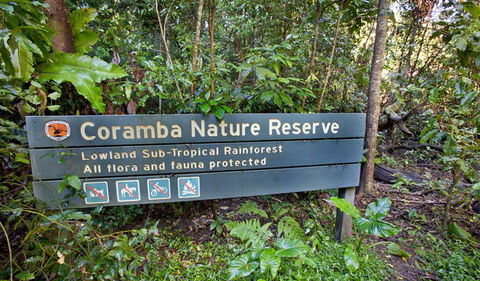 Coramba Nature Reserve - QLD Tourism 3