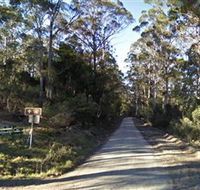 Box Cutting Rainforest Walk - Queensland Tourism