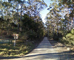 Box Cutting Rainforest Walk - Queensland Tourism 0