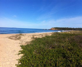 Lake Brou To Potato Point Walk - Queensland Tourism 0