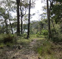 Ringlands Rotary Walk Narooma - Queensland Tourism