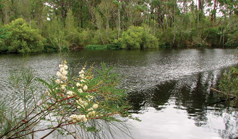 Wallingat National Park - QLD Tourism 0