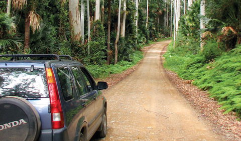 Wallingat National Park - QLD Tourism 2