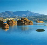 Wagonga Picnic Area - Queensland Tourism