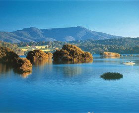 Wagonga Picnic Area - Queensland Tourism 0