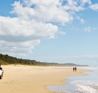 Bongil Bongil National Park - QLD Tourism