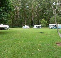 Coopernook Forest Park - Queensland Tourism