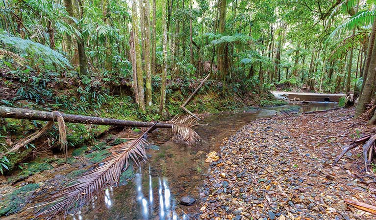 Karangi NSW QLD Tourism