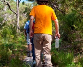Naree Budjong Djara National Park - QLD Tourism 3