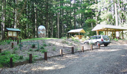 The Pines Picnic Area - QLD Tourism 2