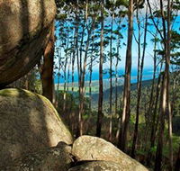 Mount Gulaga Mount Dromedary Walk - Queensland Tourism