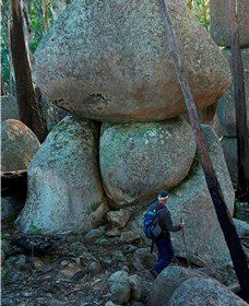 Mount Gulaga (Mount Dromedary) Walk - Queensland Tourism 1