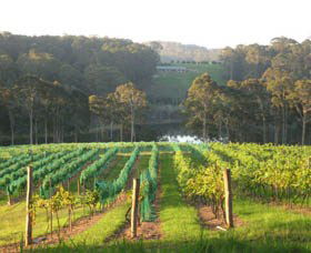 Bellbird Scenic Drive Tilba - Queensland Tourism 3