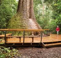 Burrawan State Forest - Queensland Tourism