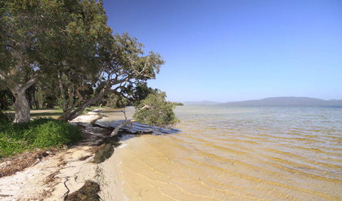 Booti Booti National Park - QLD Tourism 1