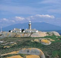 Montague Island Nature Reserve - Queensland Tourism
