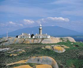 Montague Island Nature Reserve - Queensland Tourism 0