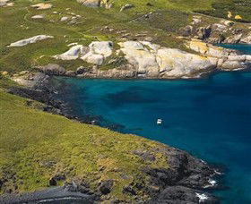 Montague Island Nature Reserve - Queensland Tourism 1